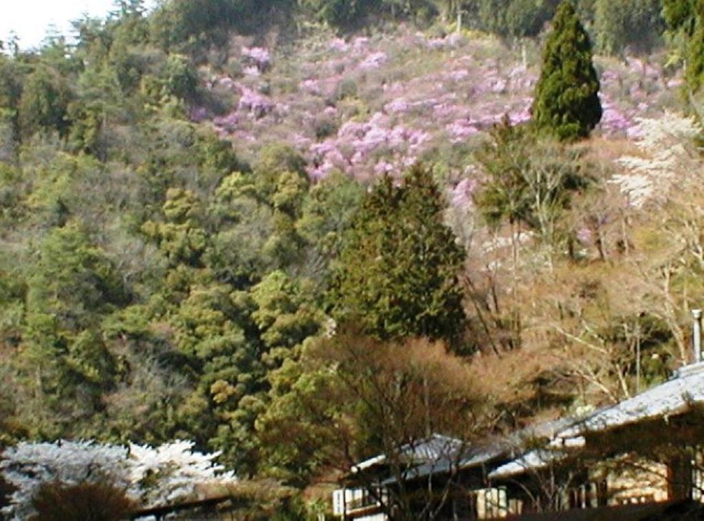 Takao Kanko Hotel Kyōto Esterno foto
